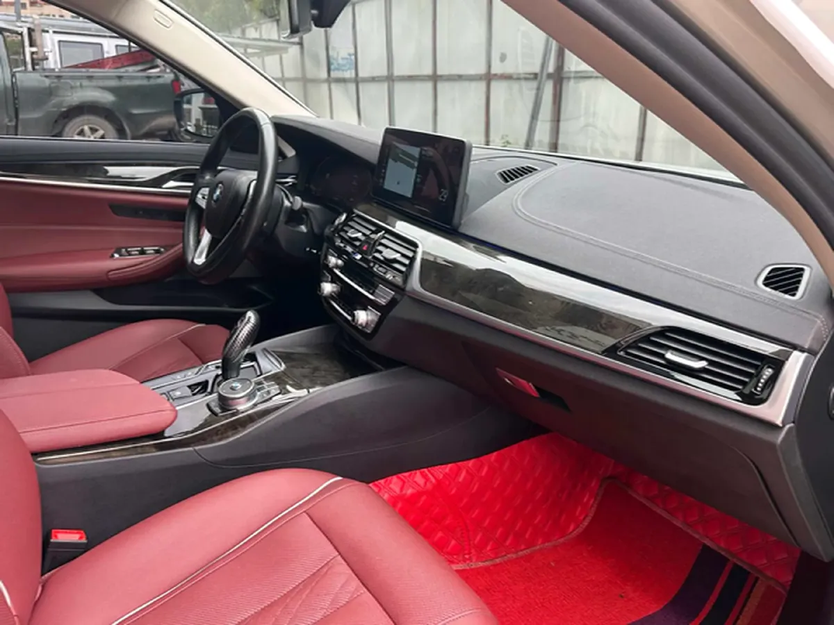 2021 BMW 5 Series 2.0T 184HP L4 8AT,autocango,china used car exporter,china ev exporter,chinese used car exporter,chinese used ev exporter
