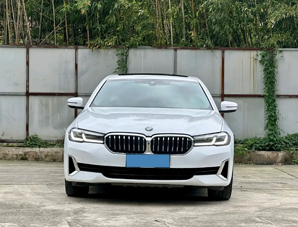 2021 BMW 5 Series 2.0T 184HP L4 8AT,autocango,china used car exporter,china ev exporter,chinese used car exporter,chinese used ev exporter