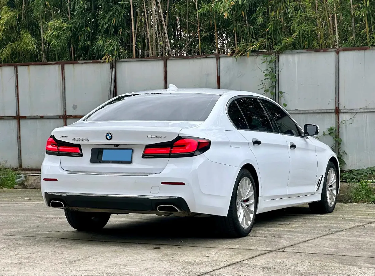 2021 BMW 5 Series 2.0T 184HP L4 8AT,autocango,china used car exporter,china ev exporter,chinese used car exporter,chinese used ev exporter