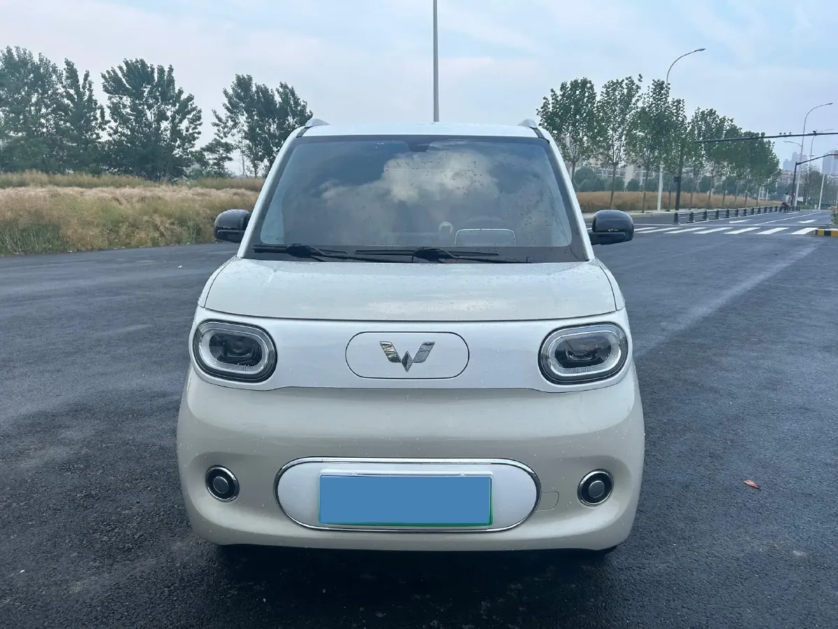 2024 WuLing HongGuang MINI EV BEV 17.3KWH,autocango,china used car exporter,china ev exporter,chinese used car exporter,chinese used ev exporter