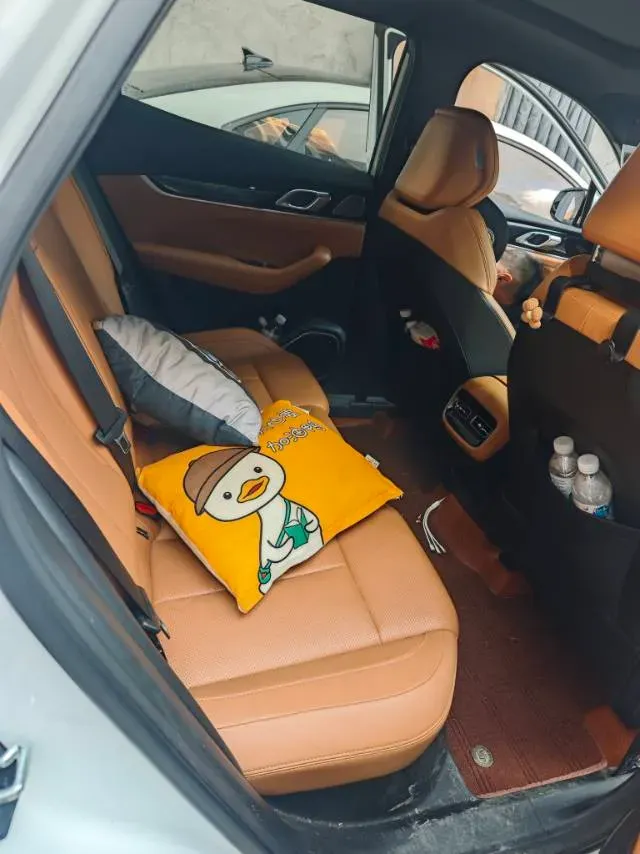 2025 Geely StarRay 1.5T 181HP L4 7DCT,autocango,china used car exporter,china ev exporter,chinese used car exporter,chinese used ev exporter