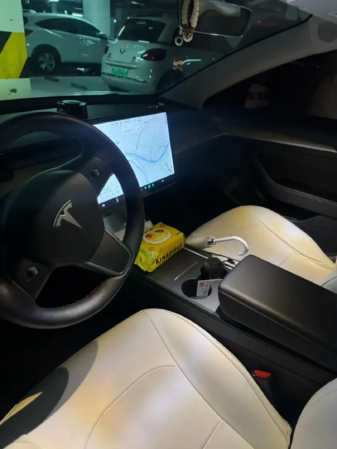 2021 Tesla Model 3 BEV 55KWH,autocango,china used car exporter,china ev exporter,chinese used car exporter,chinese used ev exporter