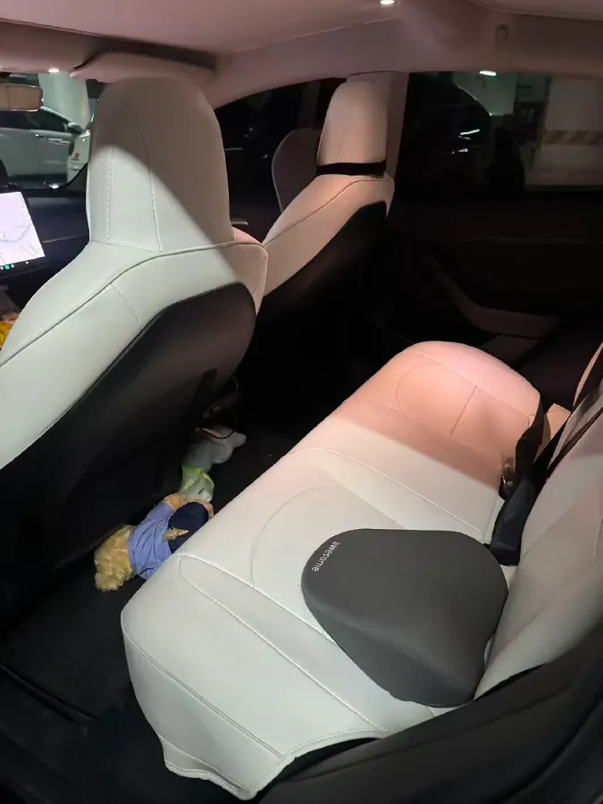 2021 Tesla Model 3 BEV 55KWH,autocango,china used car exporter,china ev exporter,chinese used car exporter,chinese used ev exporter