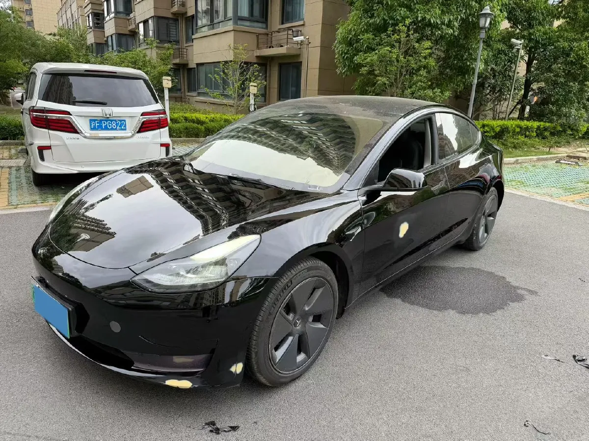 2021 Tesla Model 3 BEV 55KWH,autocango,china used car exporter,china ev exporter,chinese used car exporter,chinese used ev exporter