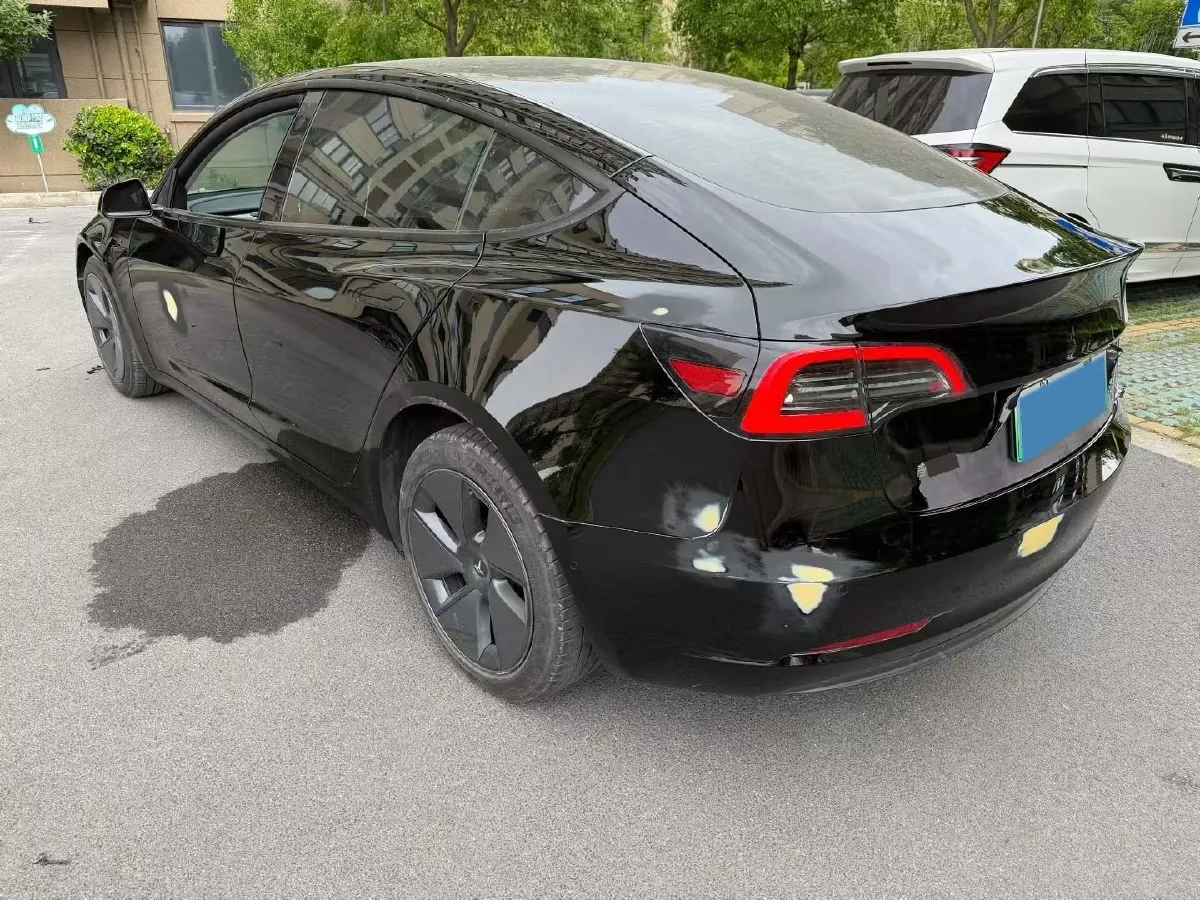 2021 Tesla Model 3 BEV 55KWH,autocango,china used car exporter,china ev exporter,chinese used car exporter,chinese used ev exporter