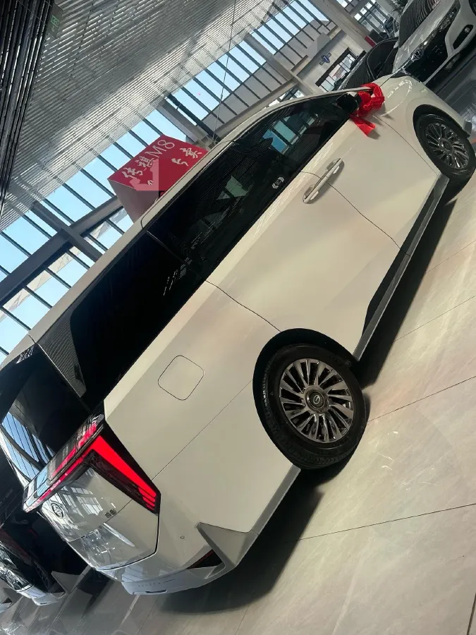 2024 GAC Trumpchi M8 2.0T 252HP L4 8AT,autocango,china used car exporter,china ev exporter,chinese used car exporter,chinese used ev exporter