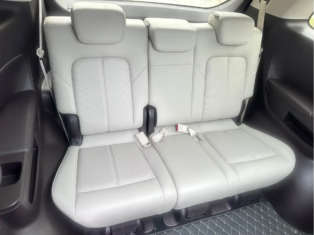 2021 GAC Trumpchi M8 2.0T 252HP L4 8AT,autocango,china used car exporter,china ev exporter,chinese used car exporter,chinese used ev exporter