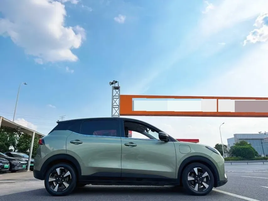 2024 WuLing BinGuoPLUS BEV 50.6KWH,autocango,china used car exporter,china ev exporter,chinese used car exporter,chinese used ev exporter