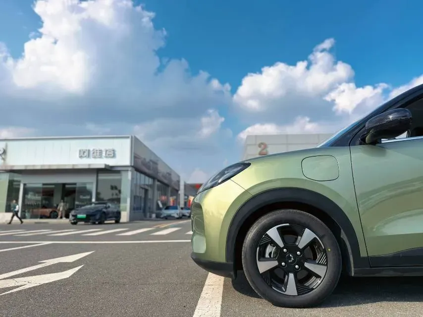 2024 WuLing BinGuoPLUS BEV 50.6KWH,autocango,china used car exporter,china ev exporter,chinese used car exporter,chinese used ev exporter