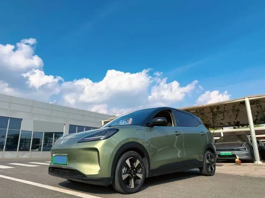 2024 WuLing BinGuoPLUS BEV 50.6KWH,autocango,china used car exporter,china ev exporter,chinese used car exporter,chinese used ev exporter