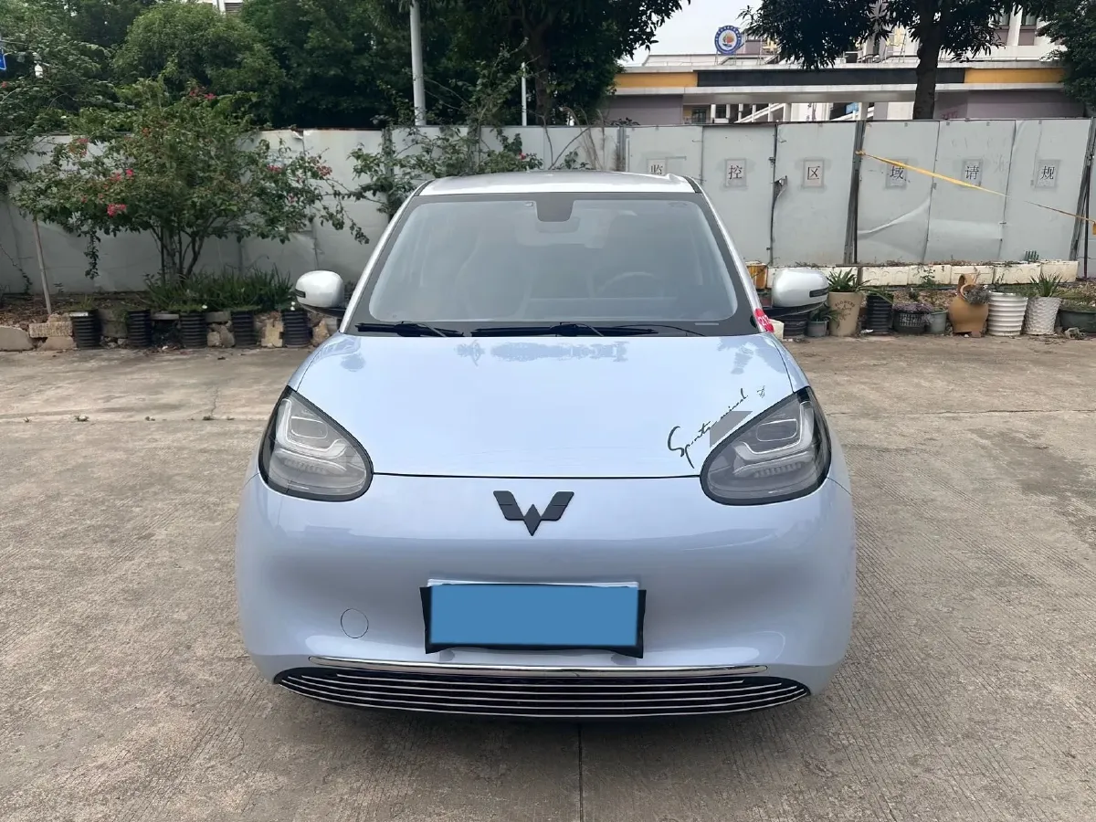 2023 WuLing BinGuo BEV 37.9KWH,autocango,china used car exporter,china ev exporter,chinese used car exporter,chinese used ev exporter