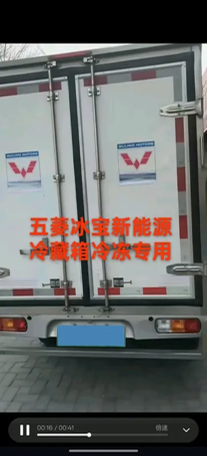 2021 WuLing EV50 BEV 41.6KWH,autocango,china used car exporter,china ev exporter,chinese used car exporter,chinese used ev exporter