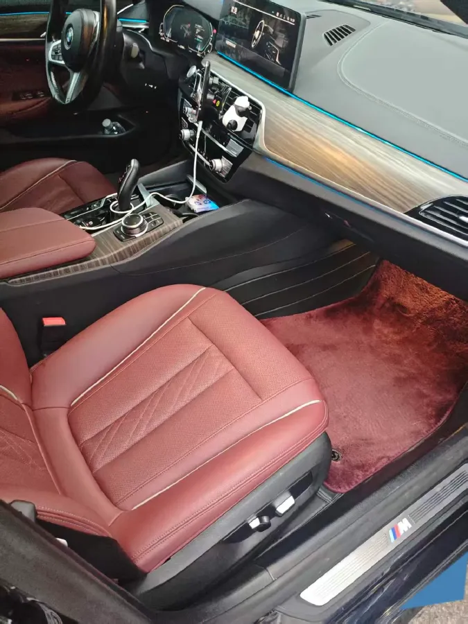 2021 BMW 5 Series 2.0T 184HP L4 8AT PHEV 17.7KWH,autocango,china used car exporter,china ev exporter,chinese used car exporter,chinese used ev exporter