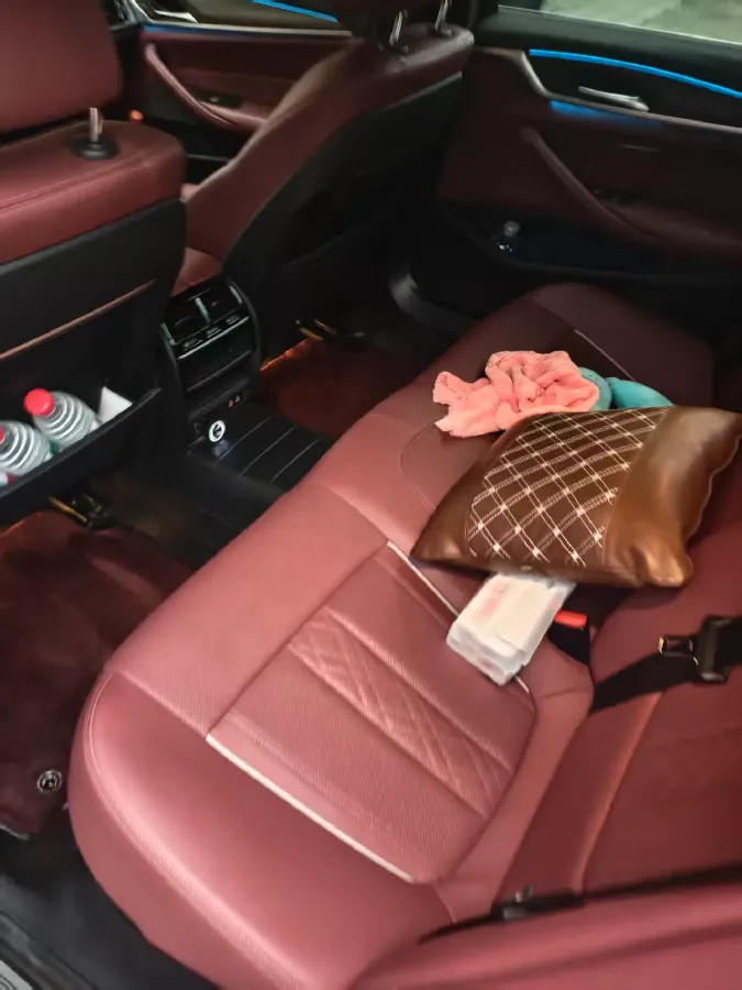2021 BMW 5 Series 2.0T 184HP L4 8AT PHEV 17.7KWH,autocango,china used car exporter,china ev exporter,chinese used car exporter,chinese used ev exporter
