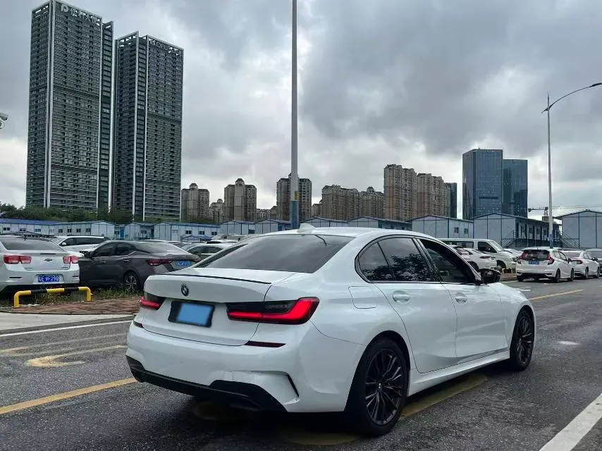 2020 BMW 3 Series 2.0T 184HP L4 8AT,autocango,china used car exporter,china ev exporter,chinese used car exporter,chinese used ev exporter
