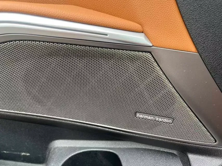 2020 BMW 3 Series 2.0T 184HP L4 8AT,autocango,china used car exporter,china ev exporter,chinese used car exporter,chinese used ev exporter