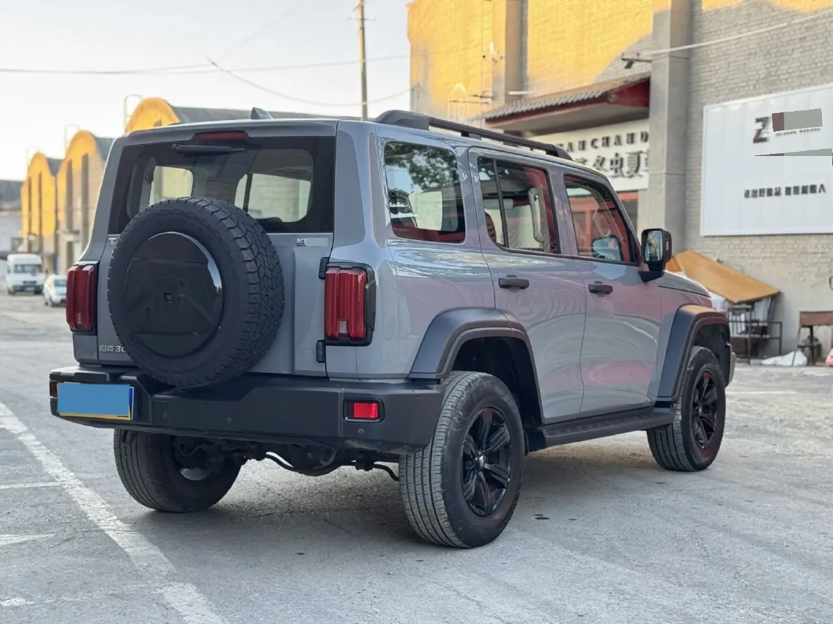 2023 Tank 300 2.0T 227HP L4 8AT,autocango,china used car exporter,china ev exporter,chinese used car exporter,chinese used ev exporter