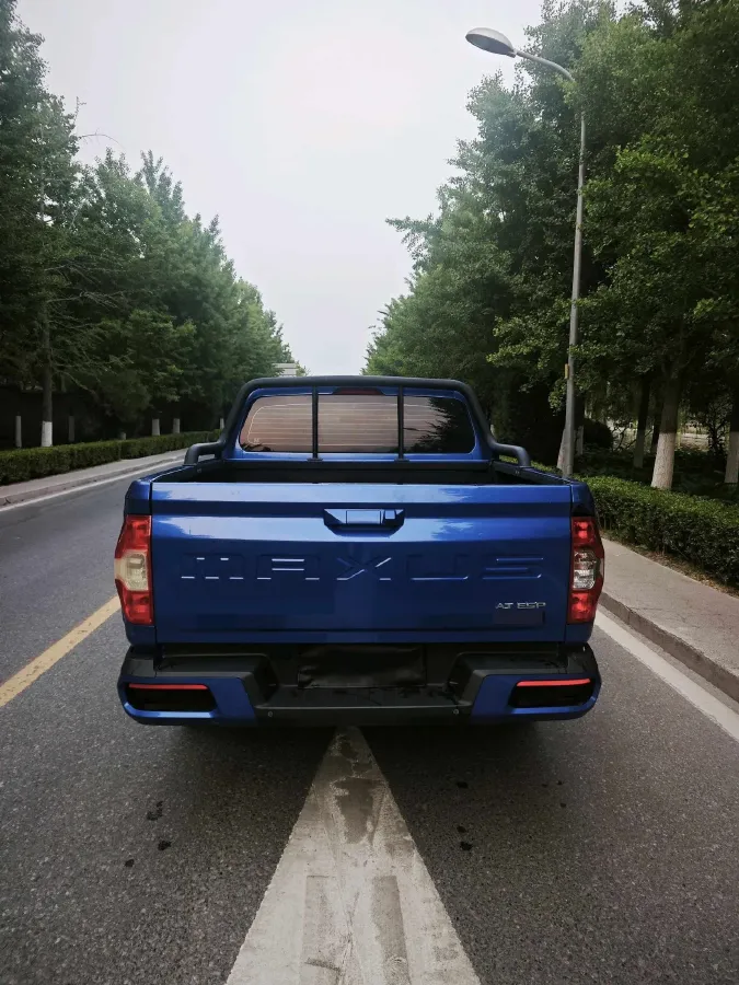 2019 MAXUS T60 2.0T 218HP L4 6AT,autocango,china used car exporter,china ev exporter,chinese used car exporter,chinese used ev exporter