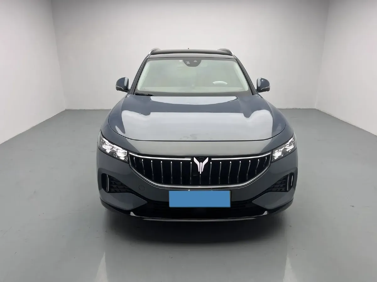 2021 Voyah FREE Range Extended 109HP REEV 33KWH,autocango,china used car exporter,china ev exporter,chinese used car exporter,chinese used ev exporter