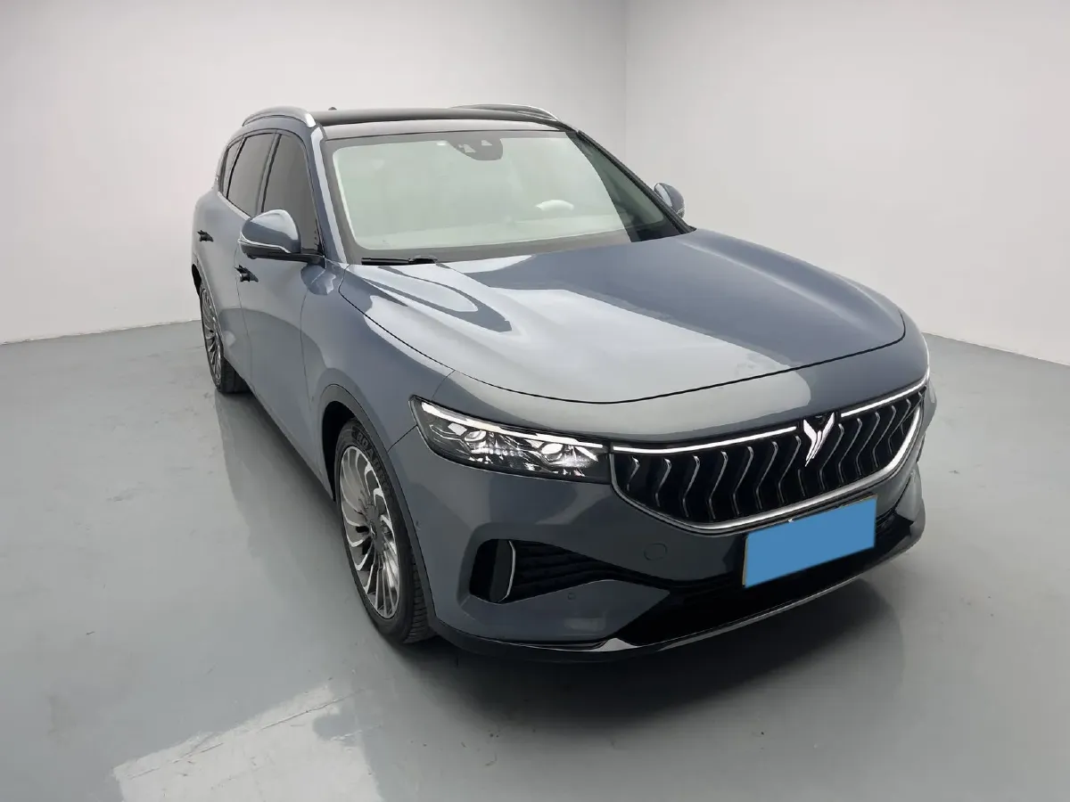 2021 Voyah FREE Range Extended 109HP REEV 33KWH,autocango,china used car exporter,china ev exporter,chinese used car exporter,chinese used ev exporter