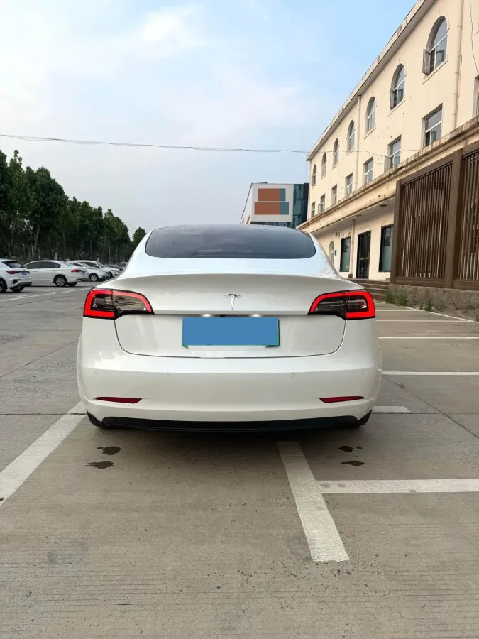 2020 Tesla Model 3 BEV 52KWH,autocango,china used car exporter,china ev exporter,chinese used car exporter,chinese used ev exporter