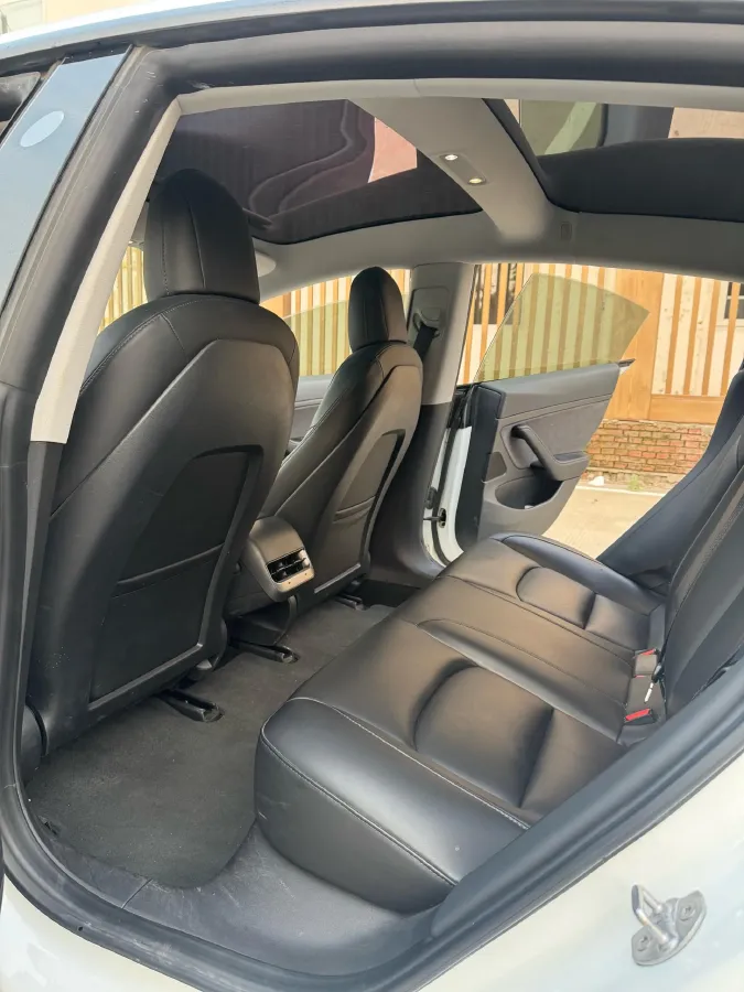 2020 Tesla Model 3 BEV 52KWH,autocango,china used car exporter,china ev exporter,chinese used car exporter,chinese used ev exporter