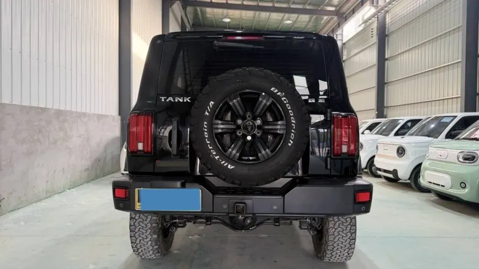 2021 Tank 300 2.0T 227HP L4 8AT,autocango,china used car exporter,china ev exporter,chinese used car exporter,chinese used ev exporter