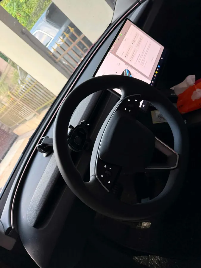 2025 Tesla Model 3 BEV,autocango,china used car exporter,china ev exporter,chinese used car exporter,chinese used ev exporter