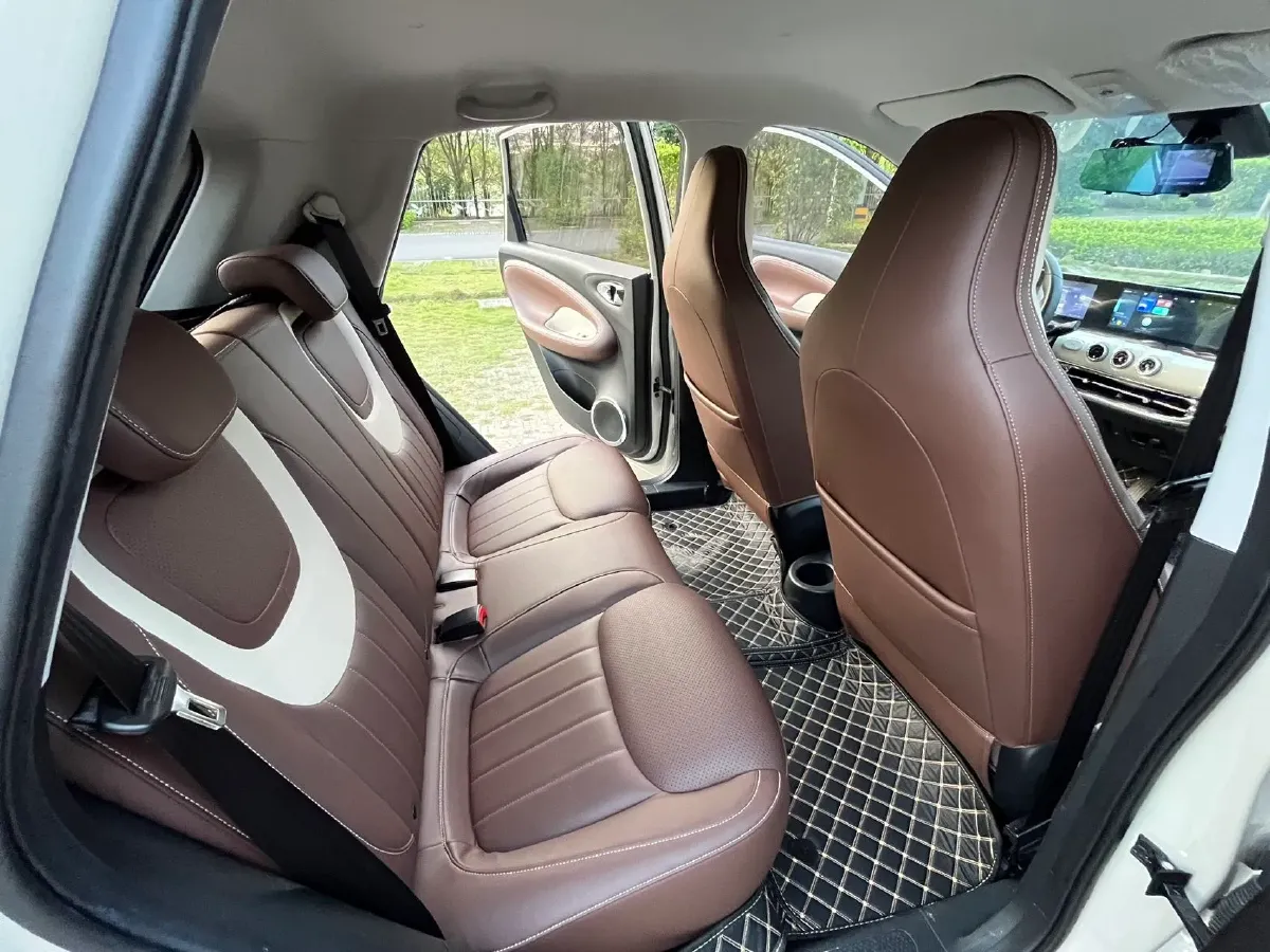 2023 WuLing BinGuo BEV 31.9KWH,autocango,china used car exporter,china ev exporter,chinese used car exporter,chinese used ev exporter