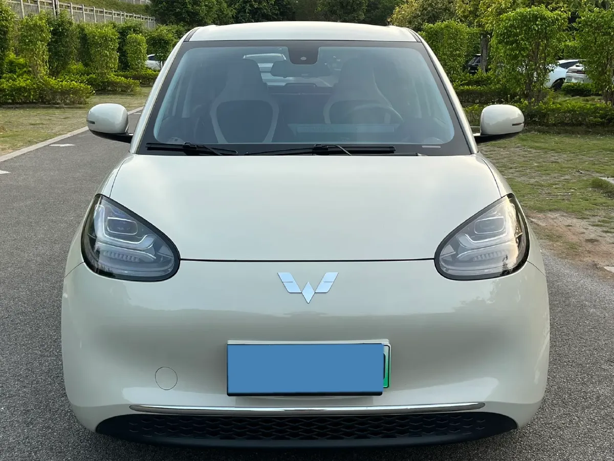 2023 WuLing BinGuo BEV 31.9KWH,autocango,china used car exporter,china ev exporter,chinese used car exporter,chinese used ev exporter
