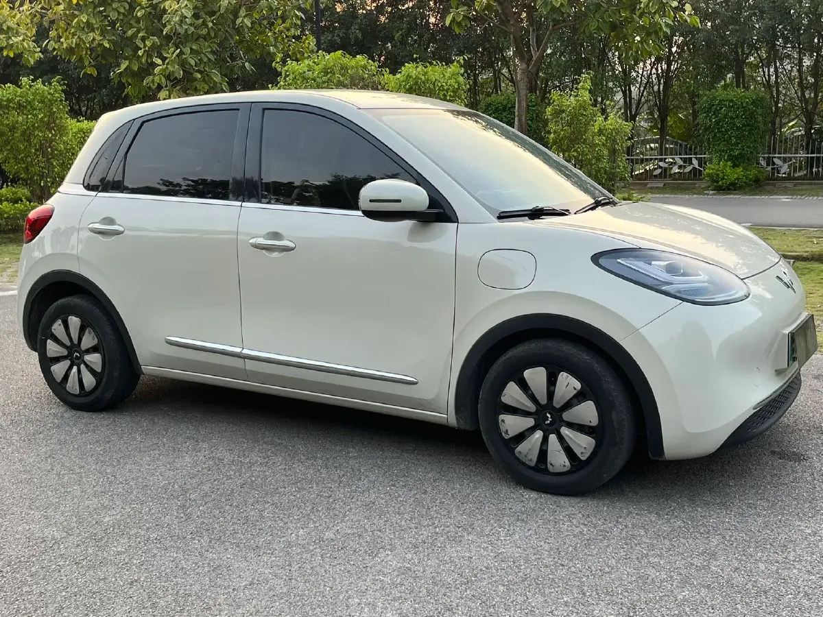 2023 WuLing BinGuo BEV 31.9KWH,autocango,china used car exporter,china ev exporter,chinese used car exporter,chinese used ev exporter