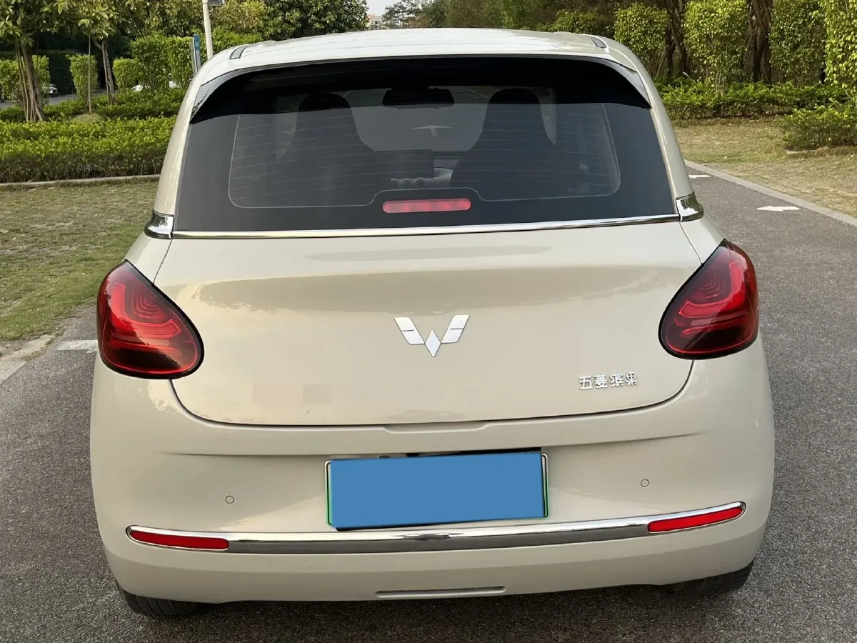 2023 WuLing BinGuo BEV 31.9KWH,autocango,china used car exporter,china ev exporter,chinese used car exporter,chinese used ev exporter