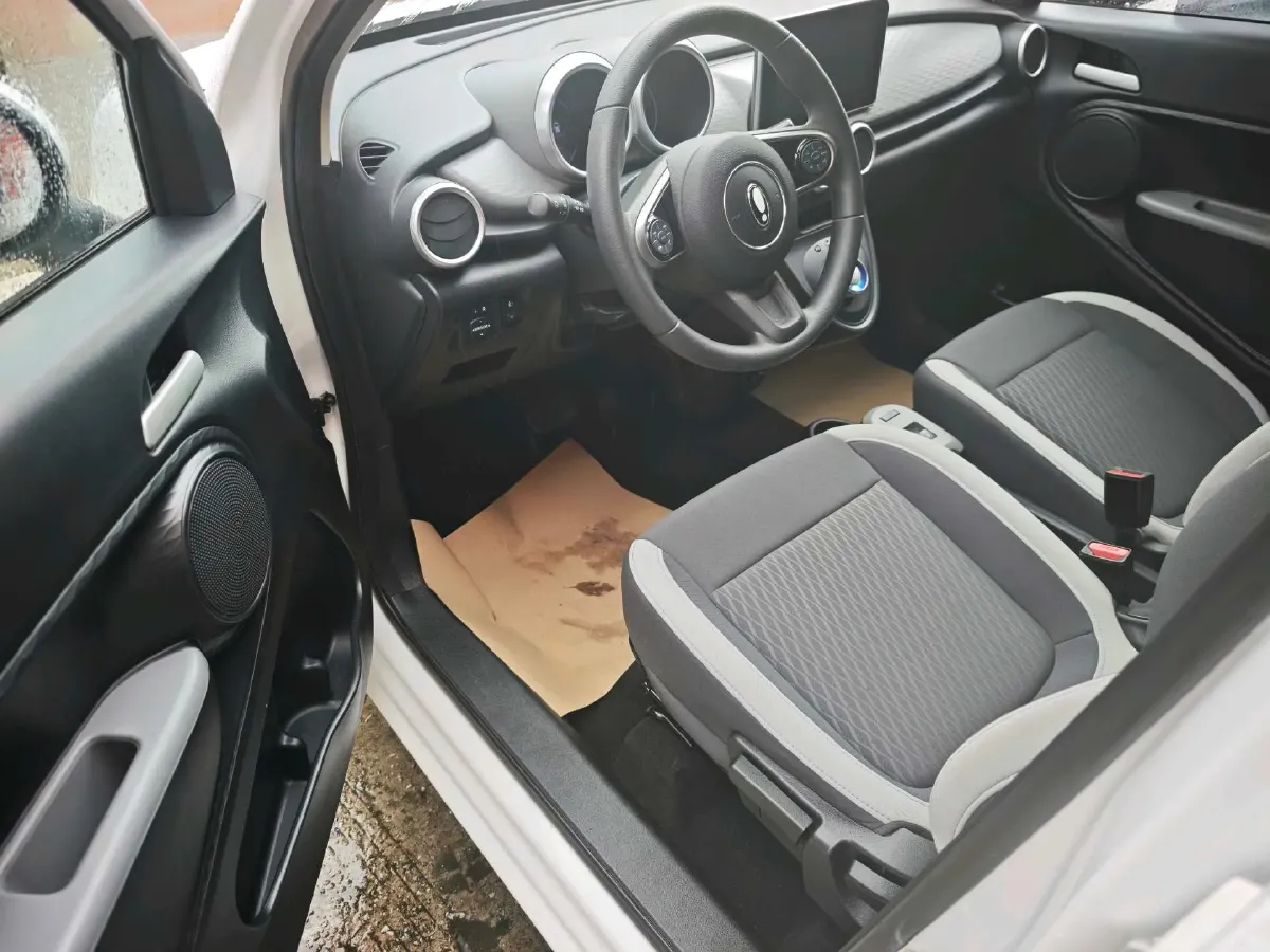 2021 Ora BlackCat BEV 30.3KWH,autocango,china used car exporter,china ev exporter,chinese used car exporter,chinese used ev exporter
