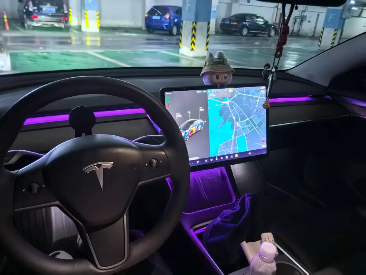 2021 Tesla Model 3 BEV 76.8KWH,autocango,china used car exporter,china ev exporter,chinese used car exporter,chinese used ev exporter