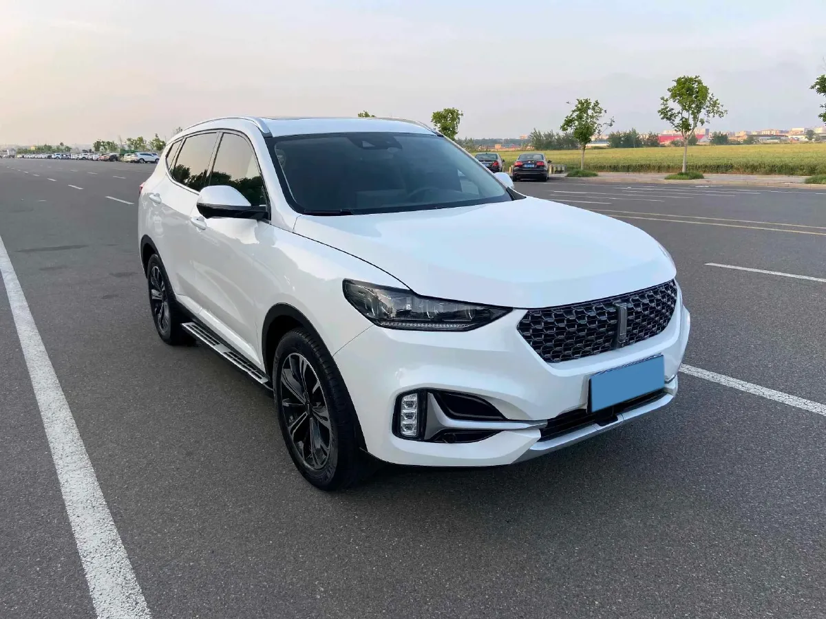 2021 WEY VV6 2.0T 227HP L4 7DCT,autocango,china used car exporter,china ev exporter,chinese used car exporter,chinese used ev exporter