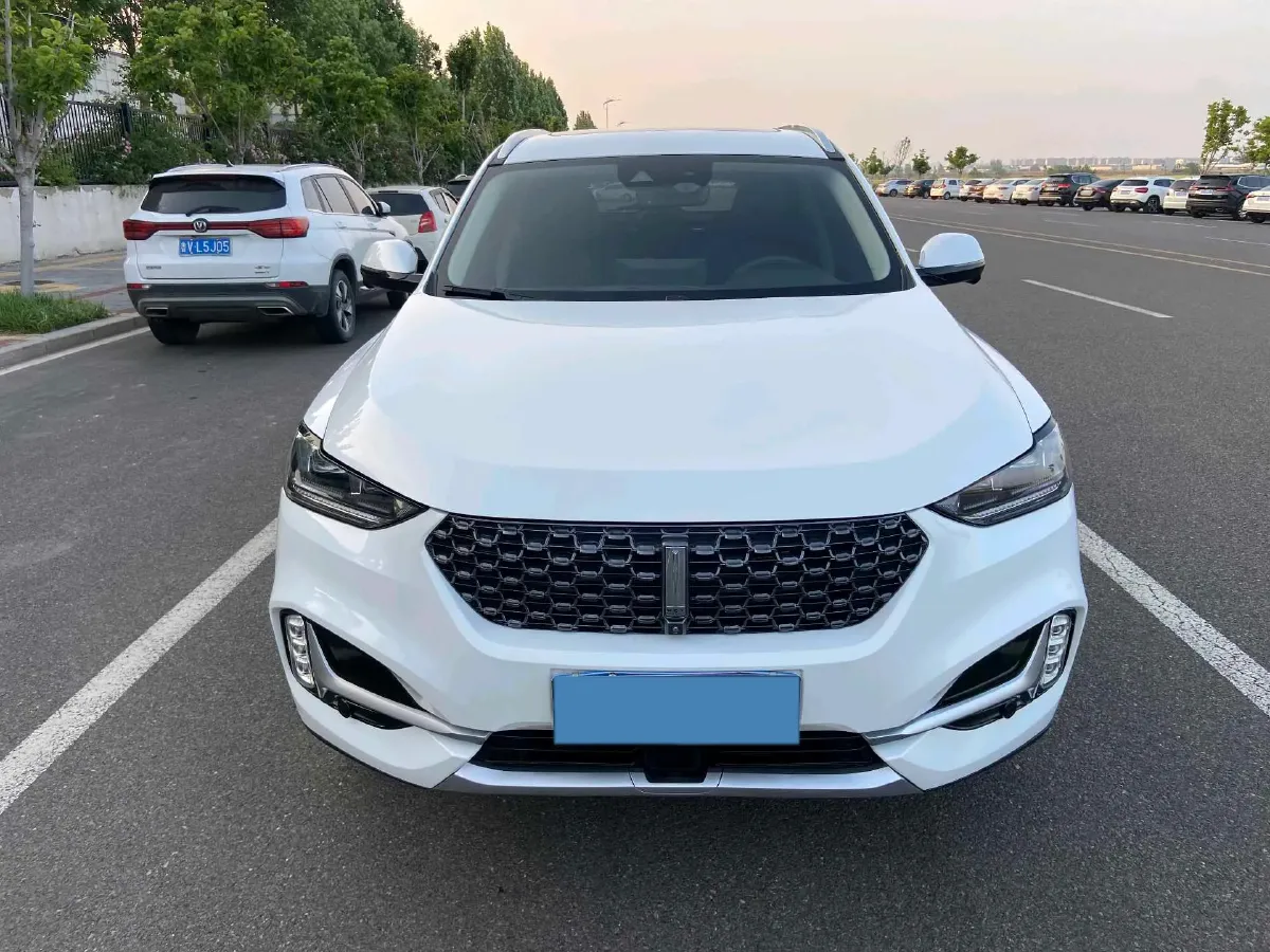 2021 WEY VV6 2.0T 227HP L4 7DCT,autocango,china used car exporter,china ev exporter,chinese used car exporter,chinese used ev exporter
