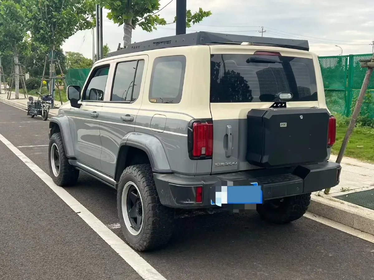 2023 Tank 300 2.0T 227HP L4 8AT,autocango,china used car exporter,china ev exporter,chinese used car exporter,chinese used ev exporter