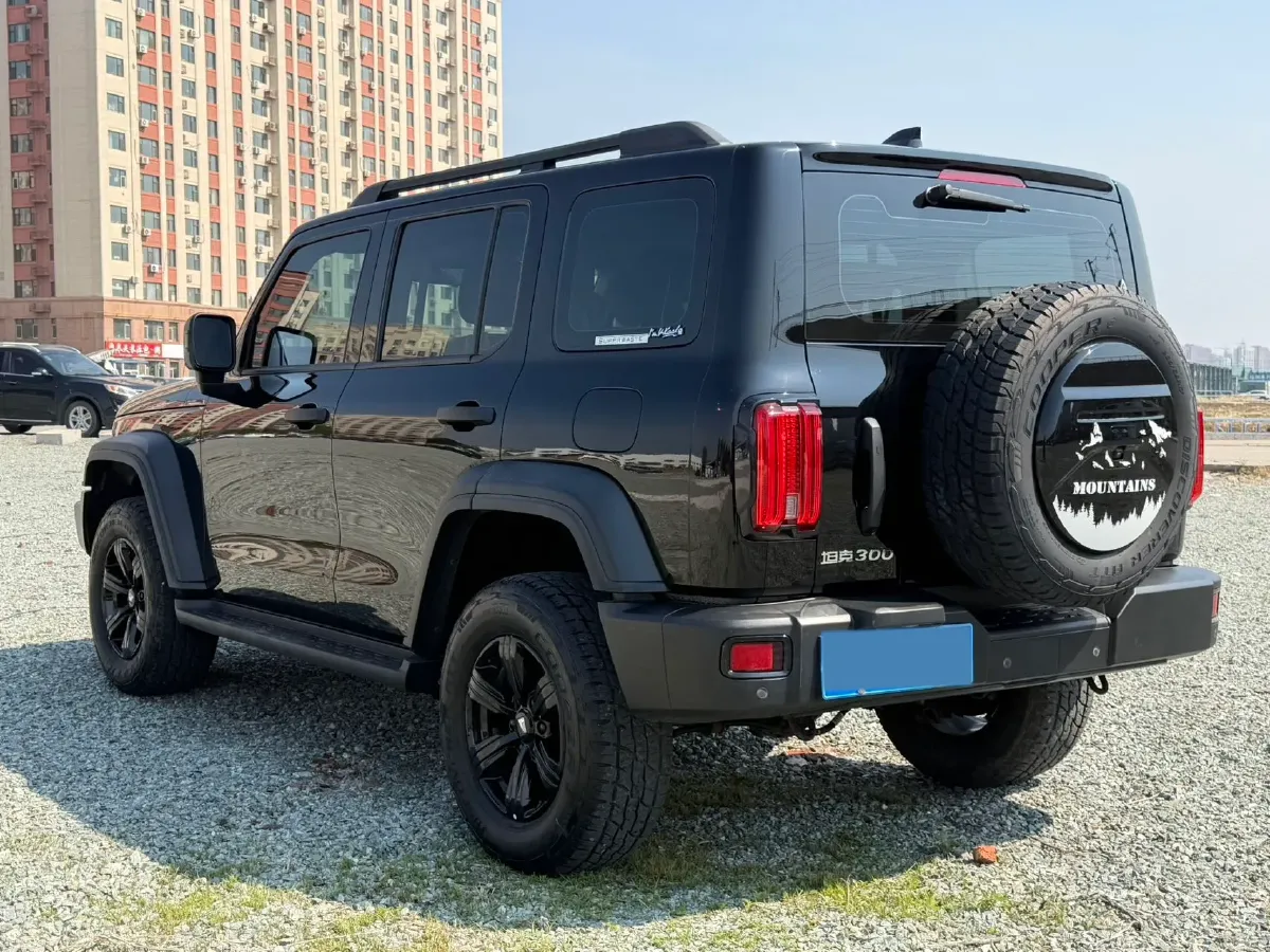2021 Tank 300 2.0T 227HP L4 8AT,autocango,china used car exporter,china ev exporter,chinese used car exporter,chinese used ev exporter