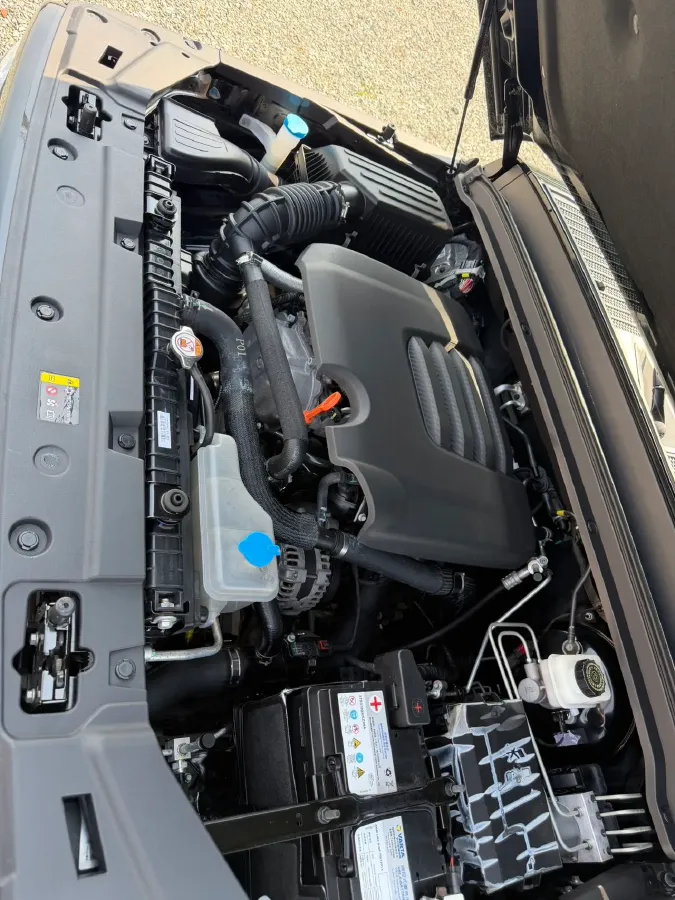 2021 Tank 300 2.0T 227HP L4 8AT,autocango,china used car exporter,china ev exporter,chinese used car exporter,chinese used ev exporter