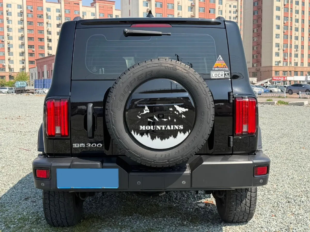 2021 Tank 300 2.0T 227HP L4 8AT,autocango,china used car exporter,china ev exporter,chinese used car exporter,chinese used ev exporter