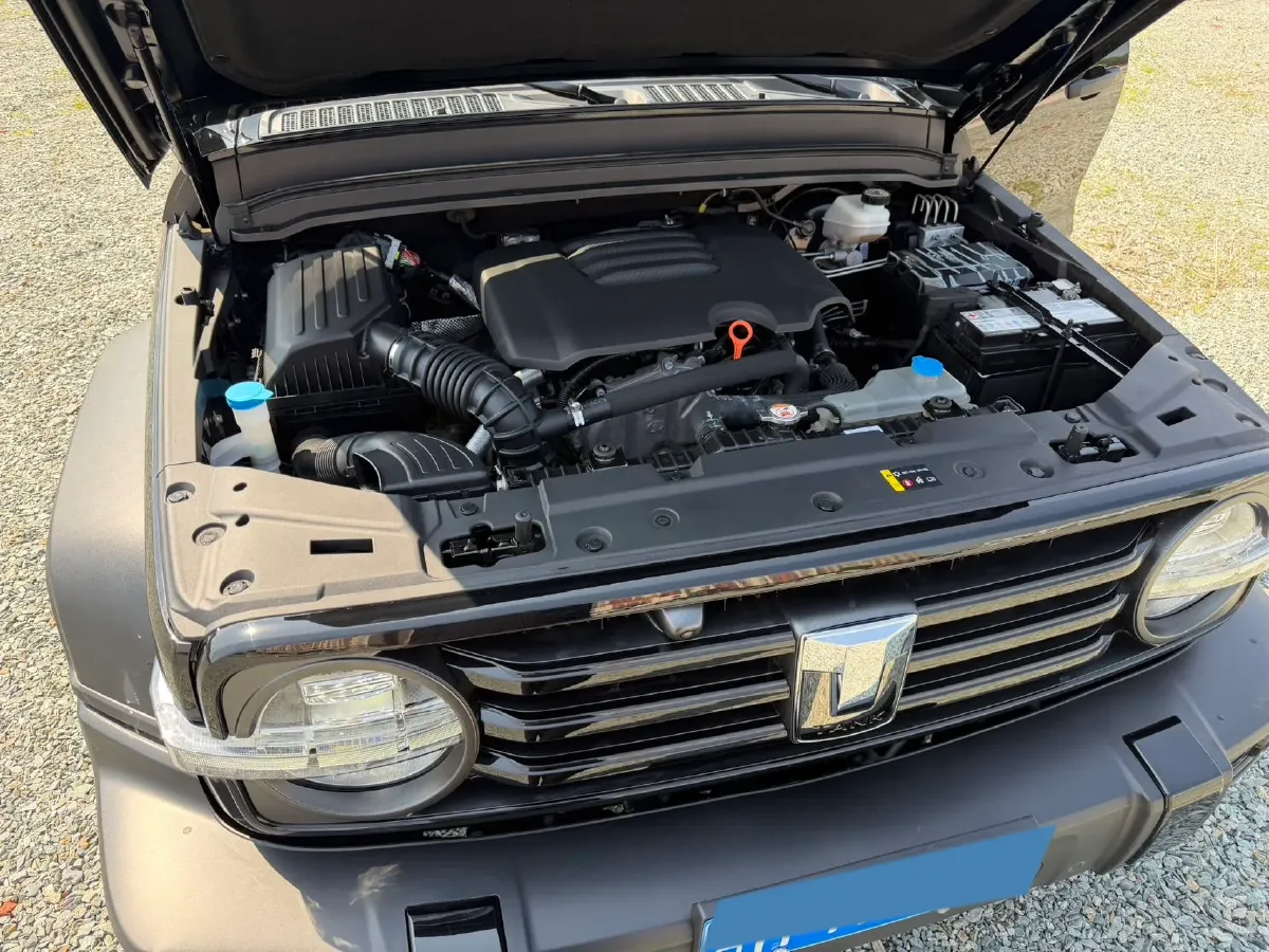 2021 Tank 300 2.0T 227HP L4 8AT,autocango,china used car exporter,china ev exporter,chinese used car exporter,chinese used ev exporter