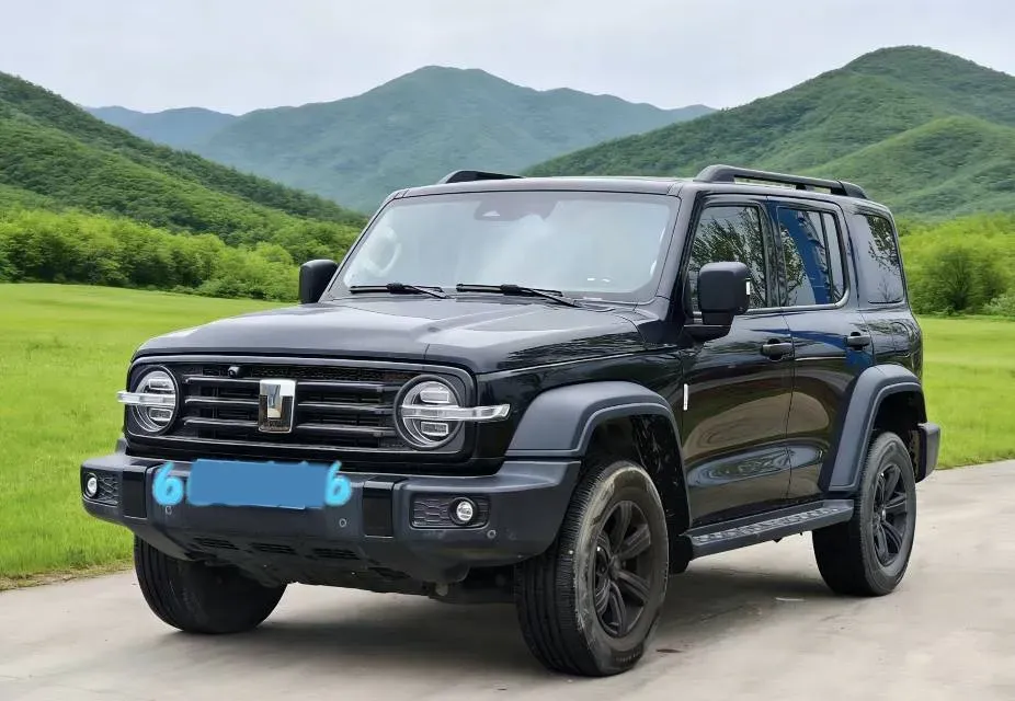 2021 Tank 300 2.0T 227HP L4 8AT,autocango,china used car exporter,china ev exporter,chinese used car exporter,chinese used ev exporter