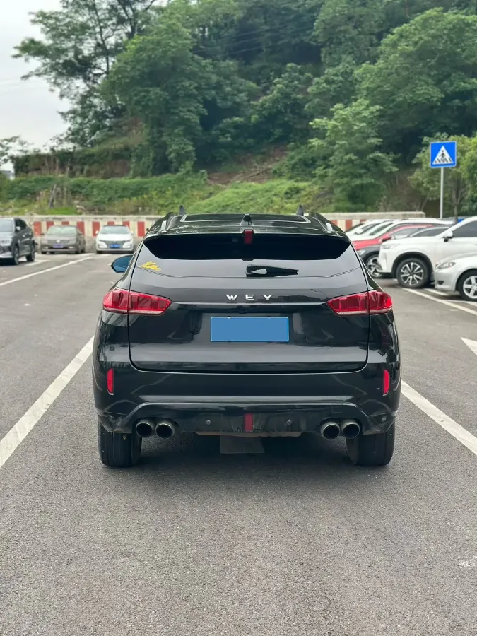 2017 WEY VV7 2.0T 234HP L4 7DCT,autocango,china used car exporter,china ev exporter,chinese used car exporter,chinese used ev exporter