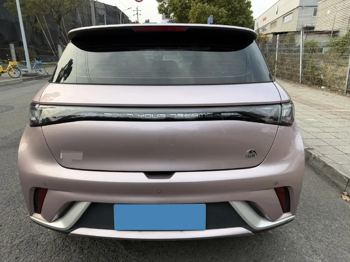 2021 BYD Yuan Pro BEV 50.1KWH,autocango,china used car exporter,china ev exporter,chinese used car exporter,chinese used ev exporter