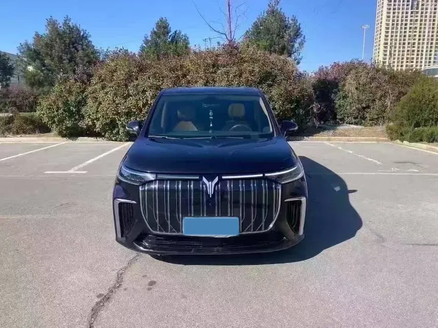 2024 Voyah Dream 1.5T 150HP L4 PHEV 43KWH,autocango,china used car exporter,china ev exporter,chinese used car exporter,chinese used ev exporter