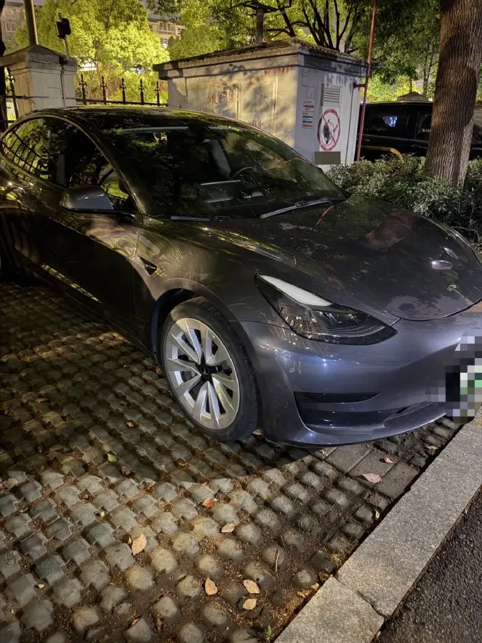 2021 Tesla Model 3 BEV 55KWH,autocango,china used car exporter,china ev exporter,chinese used car exporter,chinese used ev exporter