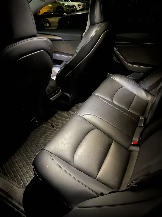 2021 Tesla Model 3 BEV 55KWH,autocango,china used car exporter,china ev exporter,chinese used car exporter,chinese used ev exporter