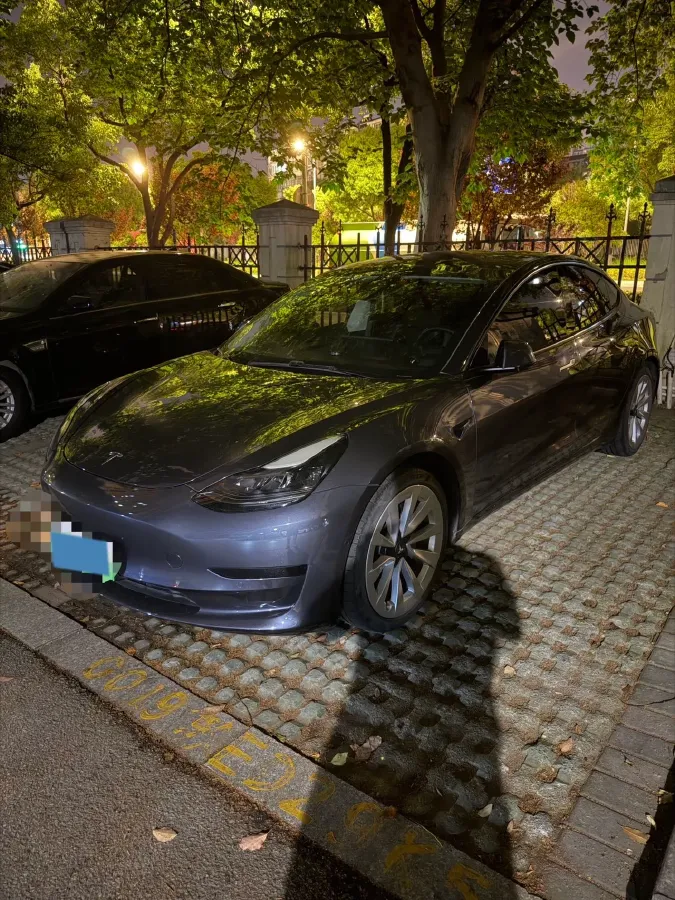 2021 Tesla Model 3 BEV 55KWH,autocango,china used car exporter,china ev exporter,chinese used car exporter,chinese used ev exporter