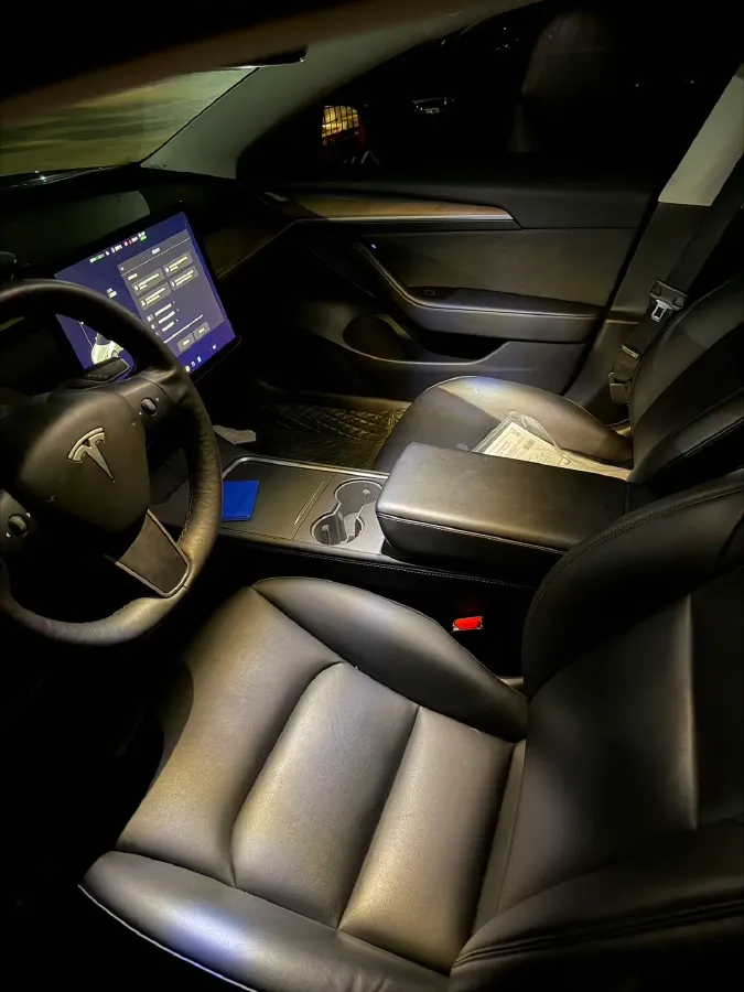 2021 Tesla Model 3 BEV 55KWH,autocango,china used car exporter,china ev exporter,chinese used car exporter,chinese used ev exporter