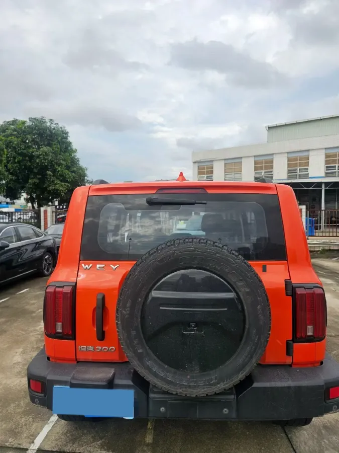 2021 Tank 300 2.0T 227HP L4 8AT,autocango,china used car exporter,china ev exporter,chinese used car exporter,chinese used ev exporter